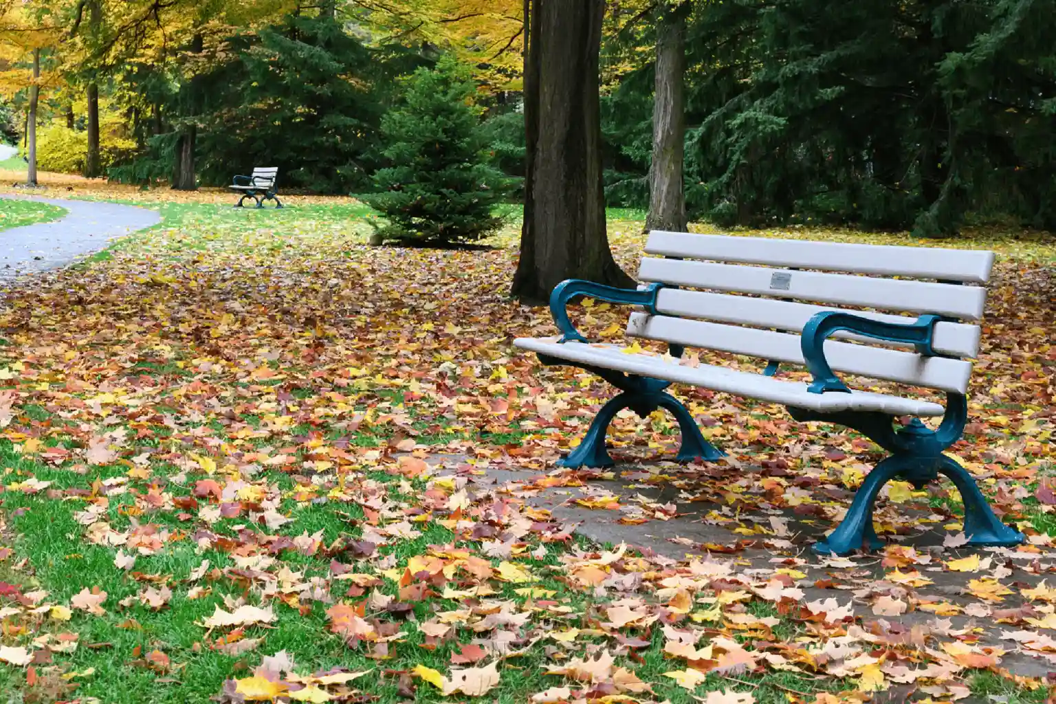 Canadian-made memorial bench with recognition plaque
